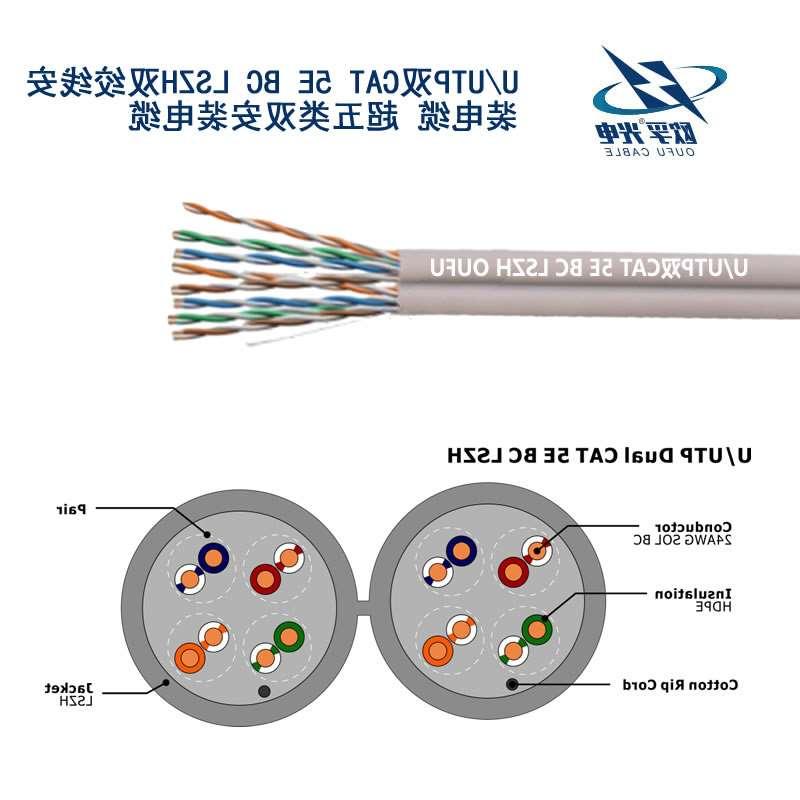 遂宁市U/UTP超五类双4对非屏蔽电缆(24AWG)